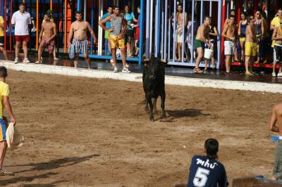 Fotografia /Gallery/19240_10873/2_M1.jpg