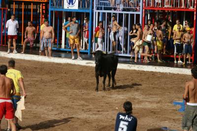 Fotografia /Gallery/19240_10873/3_M1.jpg