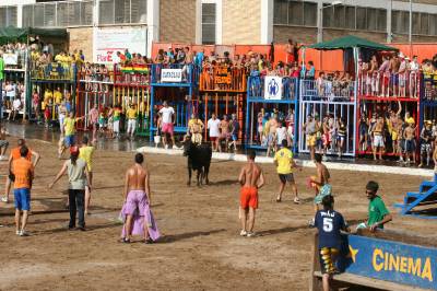 Fotografia /Gallery/19240_10873/6_M1.jpg