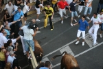 Encierro El Solivo