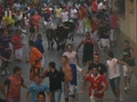 Encierro El Solivo