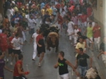 Encierro El Solivo