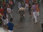 Encierro El Solivo