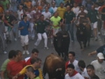 Encierro El Solivo