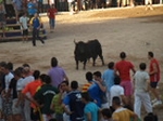 Encierro El Solivo