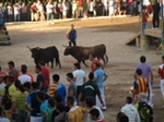 Encierro El Solivo