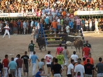 Encierro El Solivo