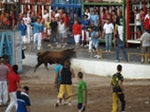 Encierro El Solivo