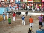 Encierro El Solivo