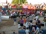 Encierro El Solivo