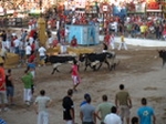 Encierro El Solivo