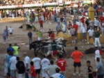 Encierro El Solivo