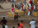 Encierro El Solivo