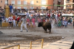 Encierro El Solivo