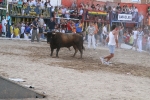 Encierro El Solivo