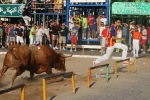 Encierro El Solivo