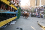 Encierro El Solivo