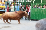 Encierro El Solivo