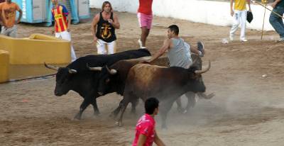 Fotografia /Gallery/19242_10872/6_M1.jpg