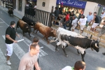 Encierro El Solivo