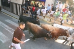 Encierro El Solivo