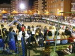Toros en la plaza.