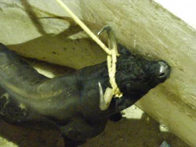 Fotografia /Gallery/19246_10881/5_M1.jpg