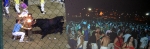 Fiesta en las Carpas