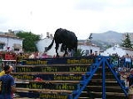Gracias a Victor Albiar