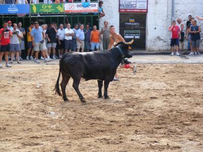 Fotografia /Gallery/19261_10903/2_M1.jpg