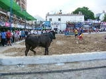 Gracias a Victor Albiar
