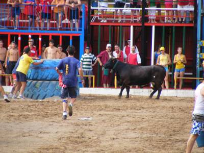 Fotografia /Gallery/19261_10903/3_M1.jpg