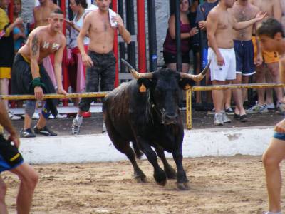 Fotografia /Gallery/19261_10903/6_M1.jpg