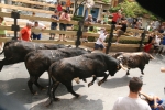 3er Enciero