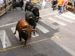3er Enciero