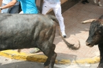 3er Enciero