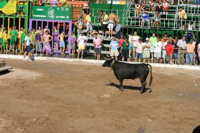 Fotografia /Gallery/19311_10915/3_M1.jpg