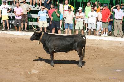 Fotografia /Gallery/19311_10915/4_M1.jpg