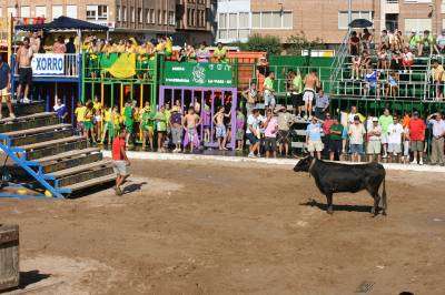 Fotografia /Gallery/19311_10915/5_M1.jpg