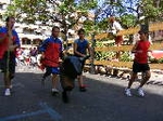 Encierro infantil (toros pequeños)