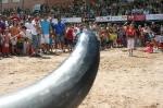 Recortes en Plaza y Juegos