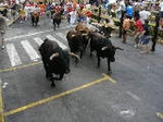 Tres heridos en el encierro de los disfraces.