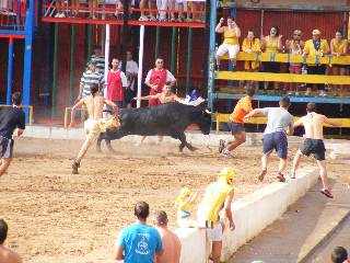 Fotografia /Gallery/19382_10964/3_M1.jpg