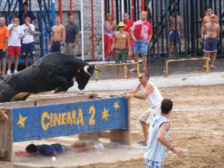 Fotografia /Gallery/19382_10964/4_M1.jpg