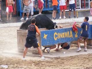 Fotografia /Gallery/19382_10964/5_M1.jpg