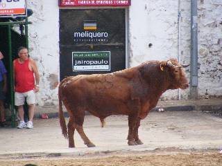 Fotografia /Gallery/19382_10964/6_M1.jpg