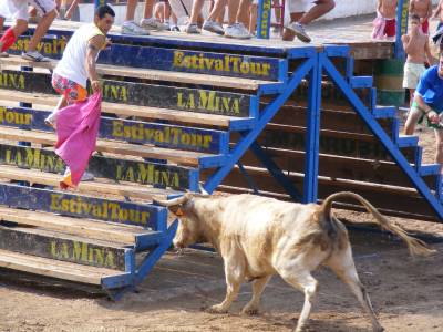 Fotografia /Gallery/19424_10983/2_M1.jpg