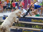 Hermanos Venavent hace una gran actuación que le coloca en primera posición con 144 puntos