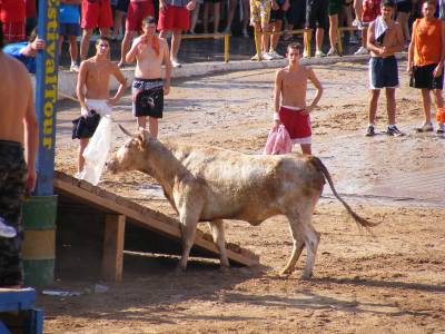 Fotografia /Gallery/19424_10983/3_M1.jpg