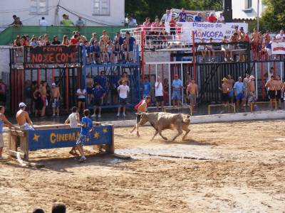 Fotografia /Gallery/19424_10983/4_M1.jpg